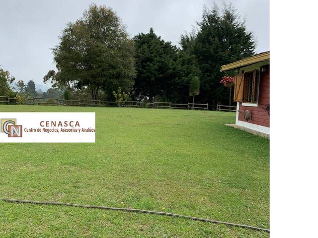 #2303 - Finca para Venta en Bello - ANT - 1