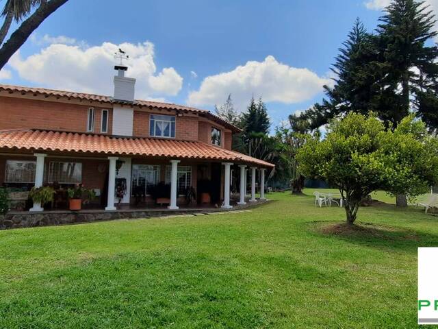 Venta en VEREDA SANTA ANA - Rionegro