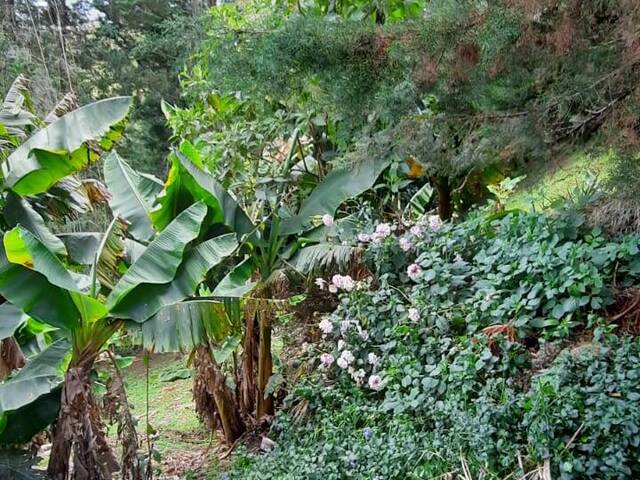 Finca para Venta en Rionegro - 5
