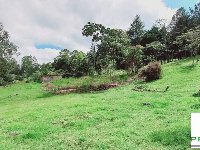 Lote para Venta en Rionegro - 5