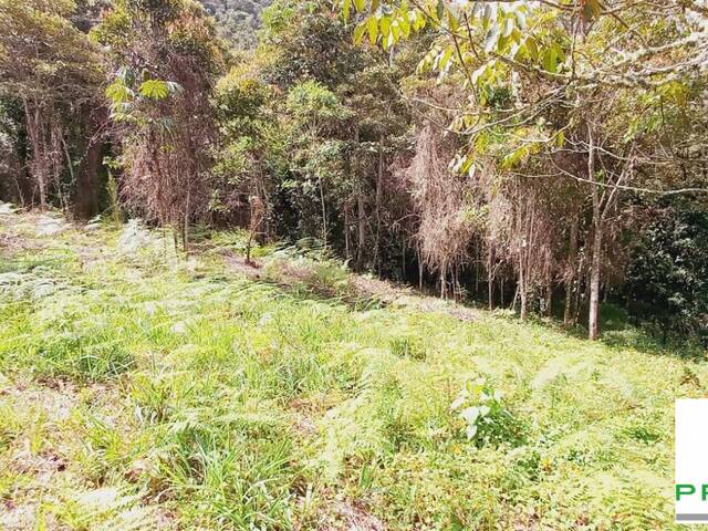 Lote para Venta en Rionegro - 4
