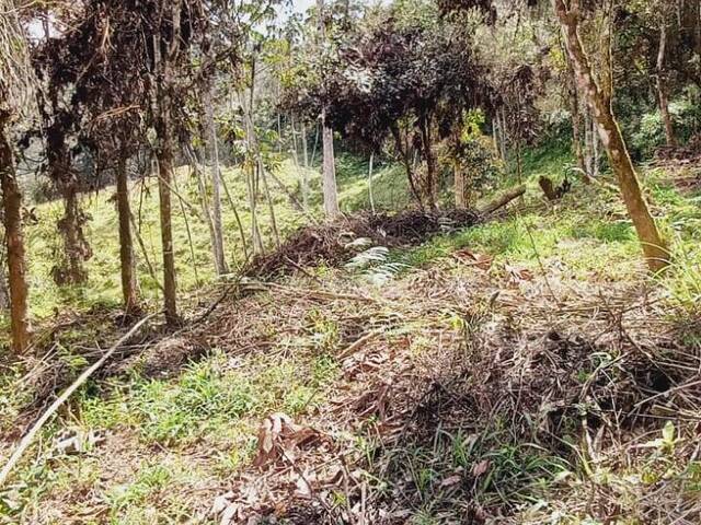 #2311 - Lote para Venta en Rionegro - ANT