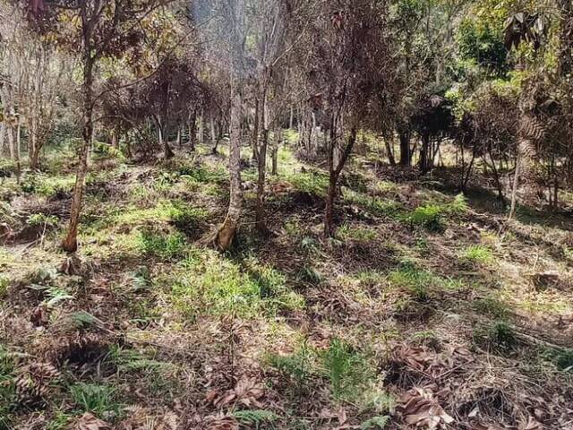 #2311 - Lote para Venta en Rionegro - ANT