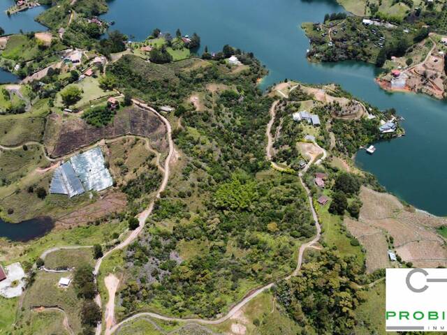 Lote para Venta en Peñol - 4