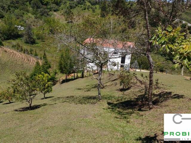 #2337 - Lote para Venta en Rionegro - ANT