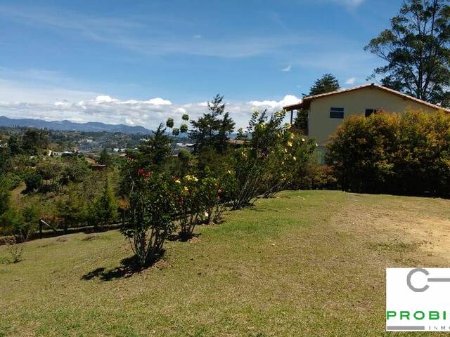 #2337 - Lote para Venta en Rionegro - ANT - 1