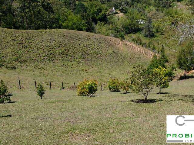 #2337 - Lote para Venta en Rionegro - ANT