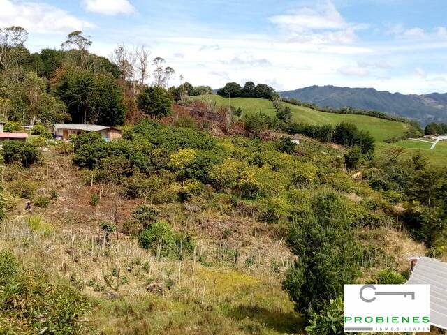 #2329 - Finca para Venta en Sonsón, - ANT - 3