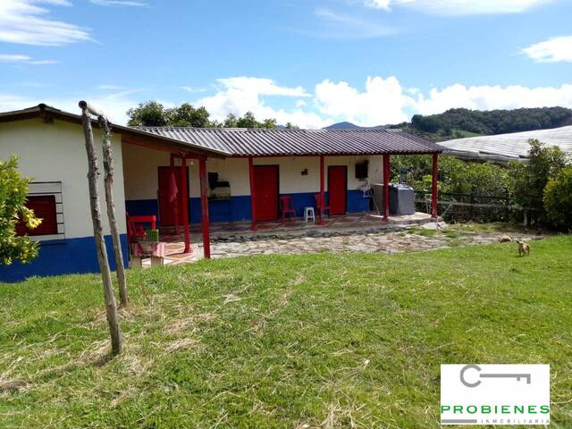 #2329 - Finca para Venta en Sonsón, - ANT - 2