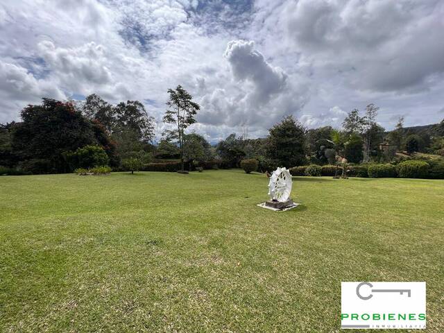 Finca para Venta en Rionegro - 4