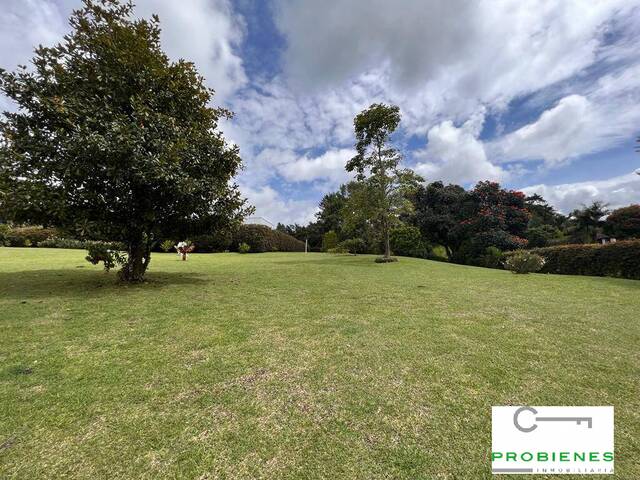 #2361 - Finca para Venta en Rionegro - ANT - 1