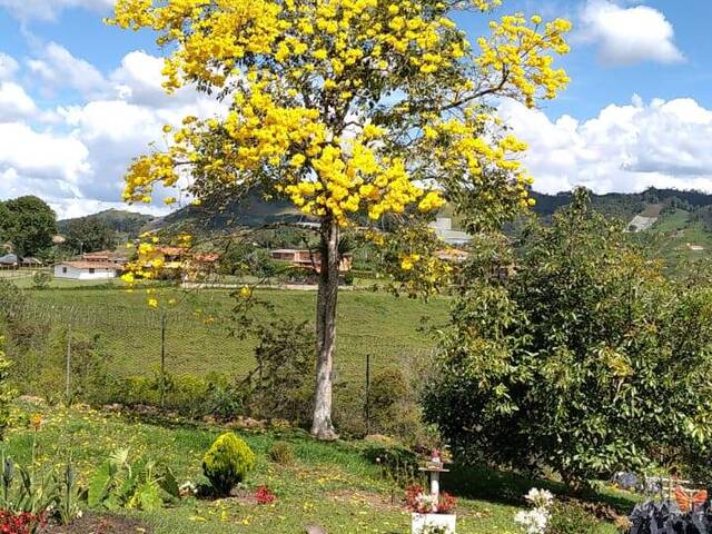 Venta en VEREDA LAS HOJAS - San Vicente