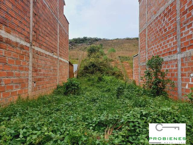 #2431 - Terreno para Venta en Rionegro - ANT