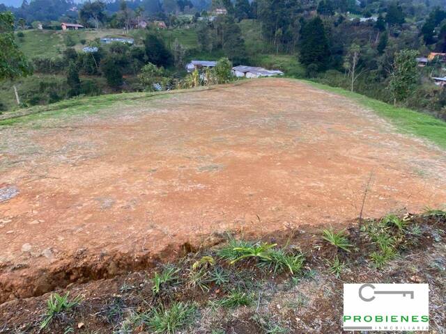 #2436 - Lote para Venta en Guarne - ANT - 3