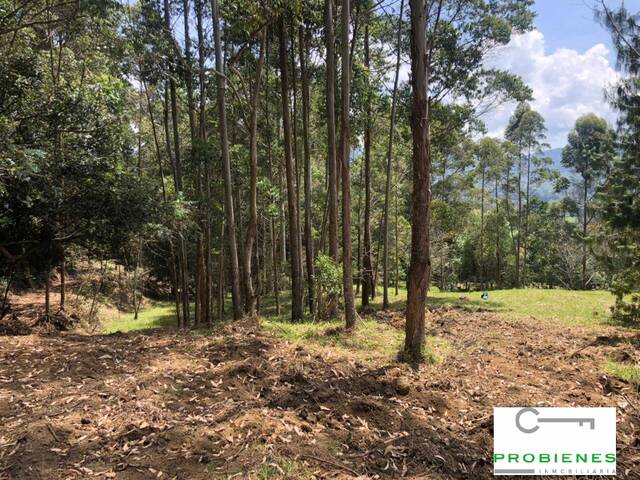 #2463 - Lote para Venta en Rionegro - ANT - 1