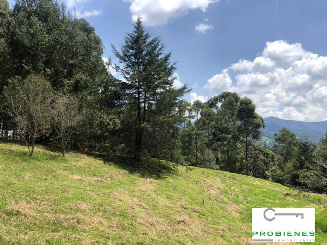 Lote para Venta en Rionegro - 5