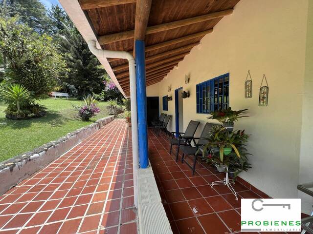 Finca para Venta en Rionegro - 4
