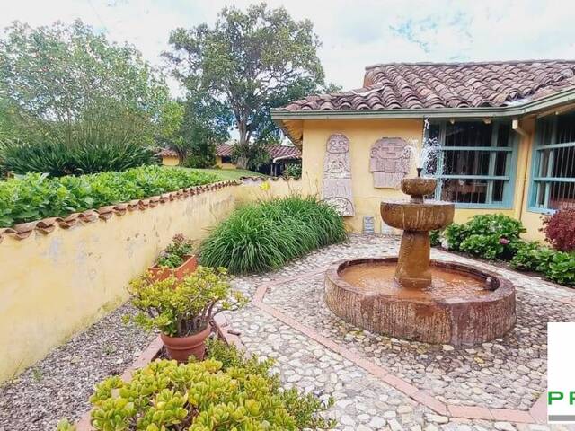 Finca para Venta en La Ceja - 5