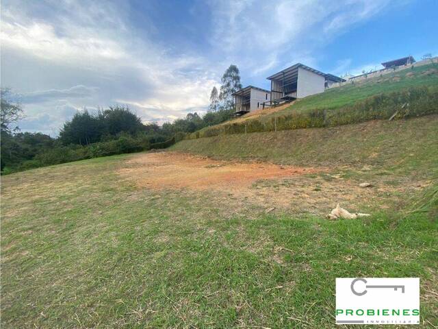 Lote para Venta en Carmen de Viboral - 4