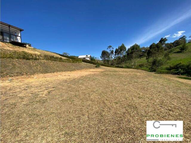 Lote para Venta en Carmen de Viboral - 5