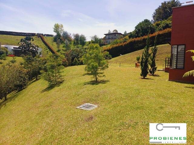 Quinta para Venta en La Ceja - 4