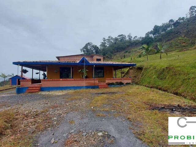 #2500 - Finca para Venta en Santuario - ANT - 3