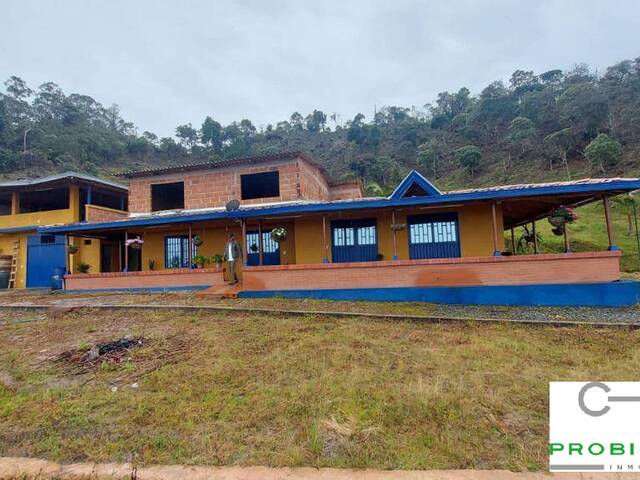 #2500 - Finca para Venta en Santuario - ANT - 1