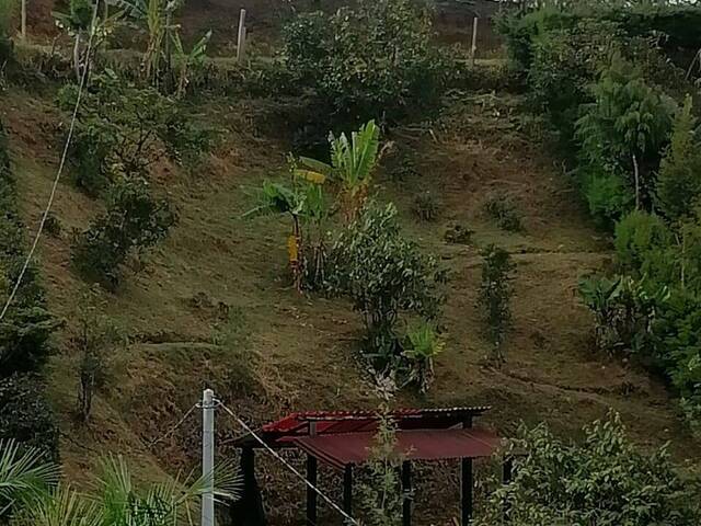 #2501 - Lote para Venta en Rionegro - ANT