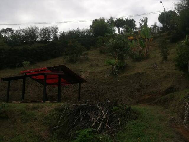 #2501 - Lote para Venta en Rionegro - ANT