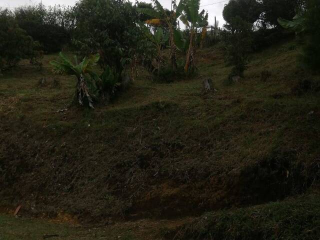 #2501 - Lote para Venta en Rionegro - ANT