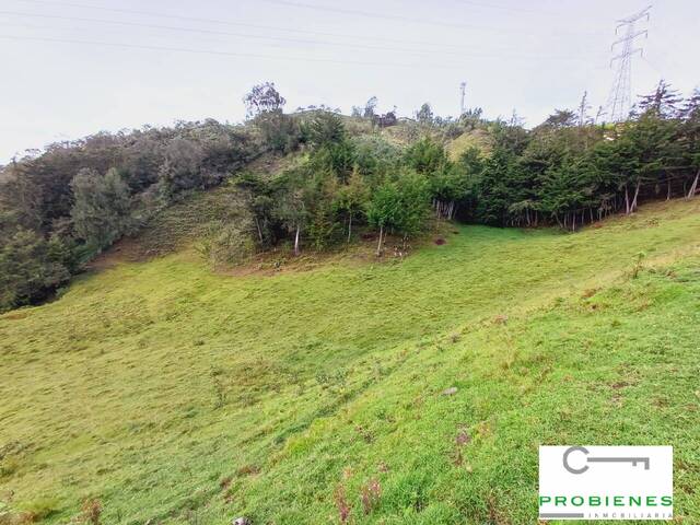 Terreno para construcción para Venta en San Vicente - 5