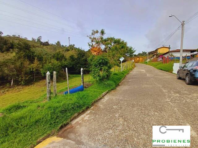 Terreno para construcción para Venta en San Vicente - 4