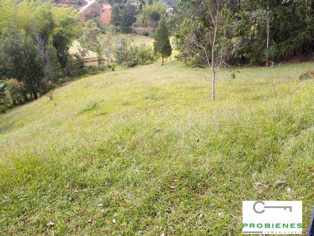 #2506 - Lote para Venta en Rionegro - ANT - 1