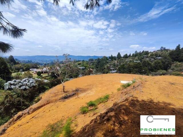 #2532 - Lote para Venta en Guarne - ANT - 1