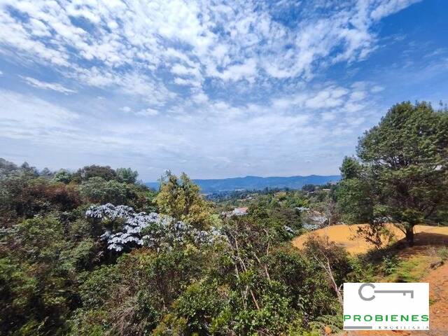 #2532 - Lote para Venta en Guarne - ANT - 2