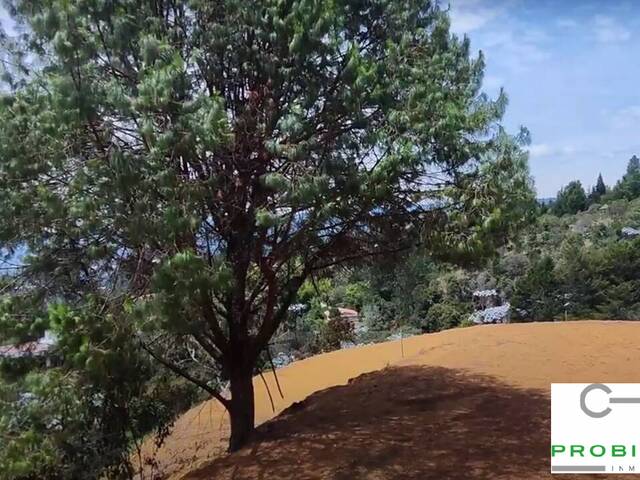 #2533 - Lote para Venta en Guarne - ANT - 3