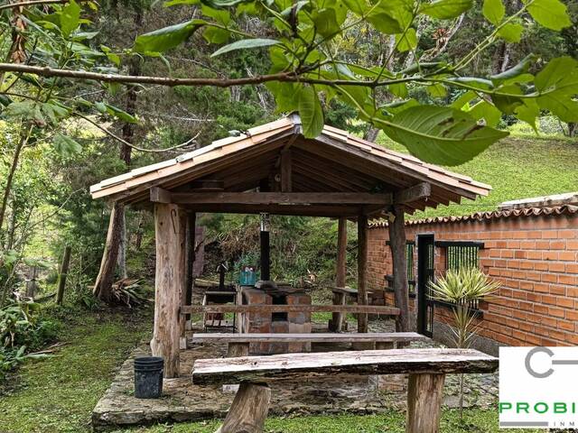 #2538 - Finca para Venta en Rionegro - ANT - 3