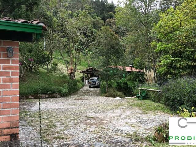 Finca para Venta en Rionegro - 4