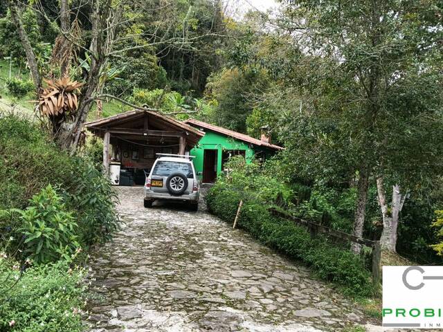 Finca para Venta en Rionegro - 5