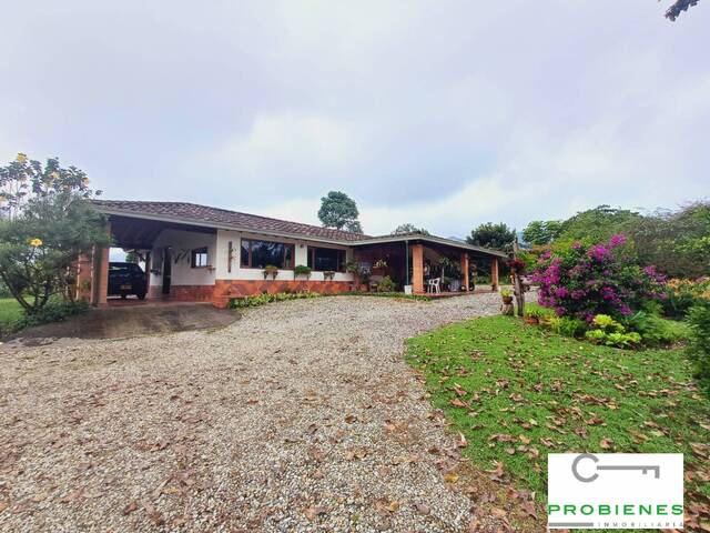 #2541 - Finca para Venta en La Ceja - ANT - 2