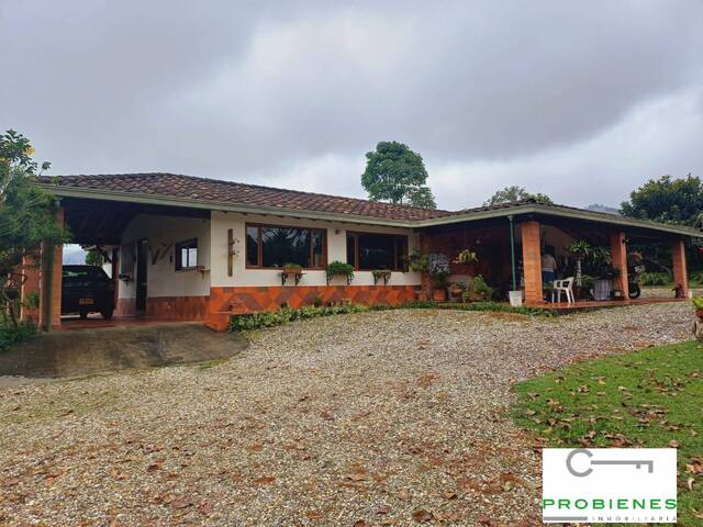 #2541 - Finca para Venta en La Ceja - ANT - 1