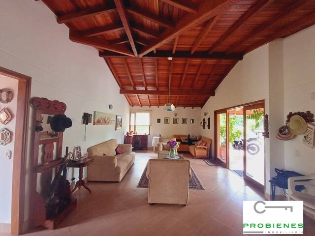 Finca para Venta en La Ceja - 5