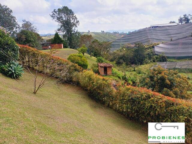 #2547 - Finca para Venta en San Vicente - ANT - 3