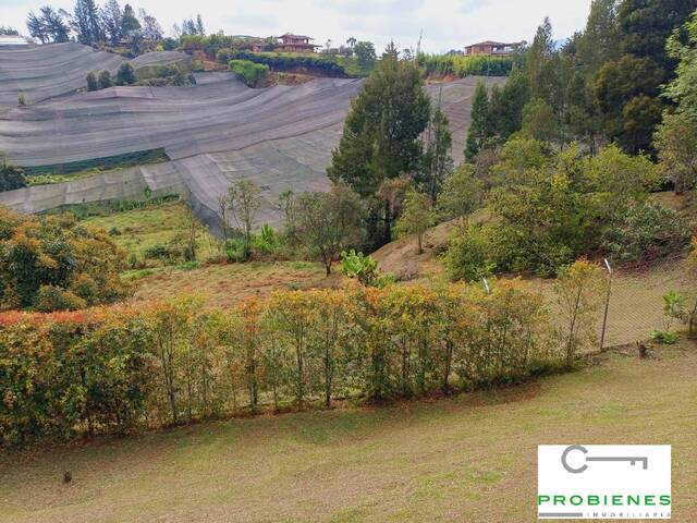 #2547 - Finca para Venta en San Vicente - ANT - 2