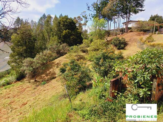 Finca para Venta en San Vicente - 5