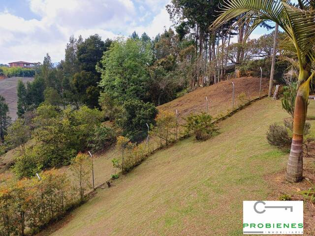 Finca para Venta en San Vicente - 4