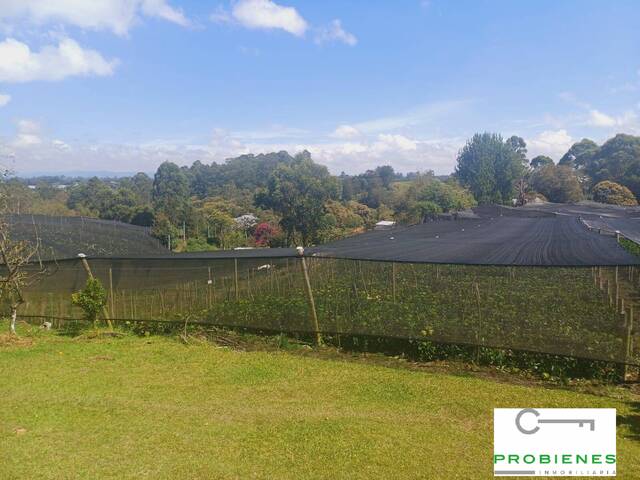 Finca para Venta en Carmen de Viboral - 4