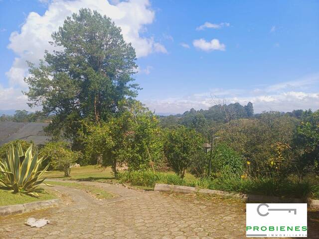 #2553 - Finca para Venta en Rionegro - ANT - 3