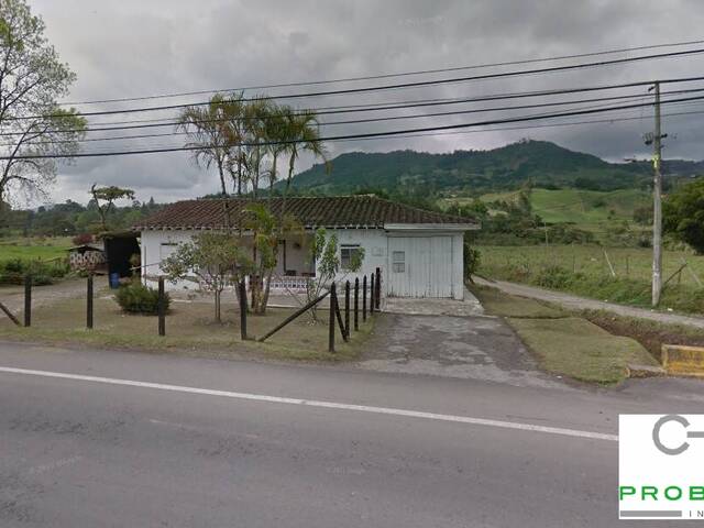 #2555 - Lote para Venta en Rionegro - ANT - 3