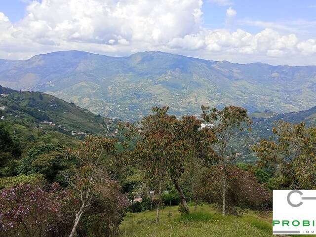 #2560 - Lote para Venta en Rionegro - ANT - 2
